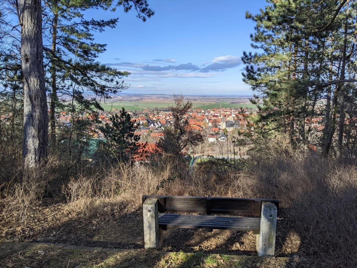 Holiday Home On The Mountain With Views Ballenstedt Kültér fotó